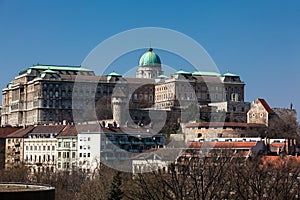 Buda Castle seen from the Garden of Philosophy