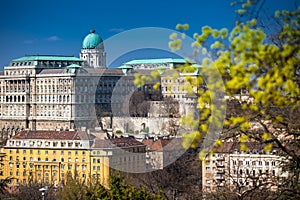 Buda Castle seen from the Garden of Philosophy