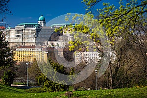 Buda Castle seen from the Garden of Philosophy