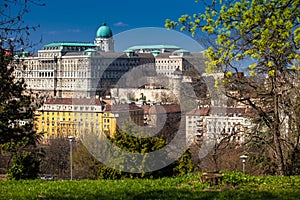 Buda Castle seen from the Garden of Philosophy