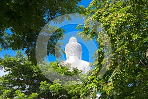 Budah from back side