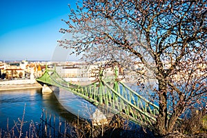 Budapest cityscape, Liberty Bridge or Freedom Bridge in the background