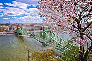 Budapest Danube river and Liberty bridge panoramic springtime view