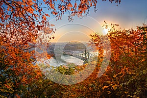 Budapest, Hungary - Autumn in Budapest. Liberty Bridge Szabadsag Hid at sunrise photo