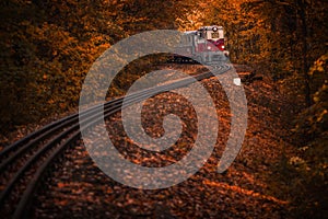 Budapest, Hungary - Beautiful autumn forest with foliage and old colorful train on the track