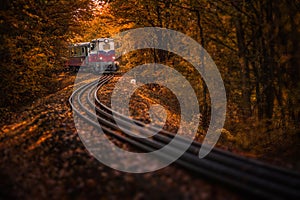 Budapest, Hungary - Beautiful autumn forest with foliage and old colorful train on the track photo