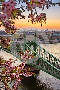 Budapest, Hungary - Beautiful and empty Liberty Bridge over River Danube at sunrise with cherry blossom