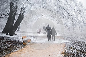 Budapest, Hungary - Beautiful foggy winter scene at Normafa with bench, snowy trees, footpath and walking people