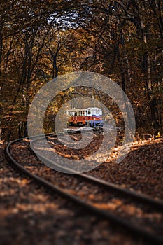 Budapest, Hungary - Children`s train on the S curve track in the Hungarian woods of Huvosvolgy