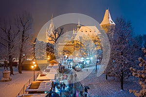 Budapest, Hungary - Christmas market in snowy City Park Varosliget from above at night with snowy tree