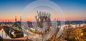Budapest, Hungary - Panoramic skyline view of Budapest at spring time shot from Gellert hill with cherry blossom