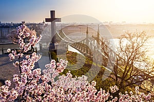 Budapest, Hungary - Spring has arrived in Budapest with beautiful Cherry Blossom, cross and Liberty Bridge