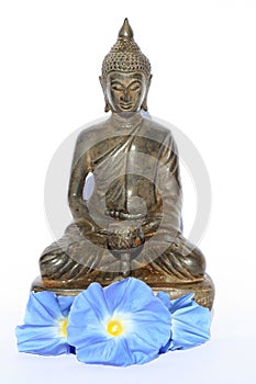 Budda buddha with blue flowers photo