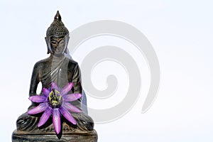 Budda buddha with flower photo