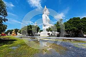 Budddha statues at Wat Phai Rong Wua, Suphanburi