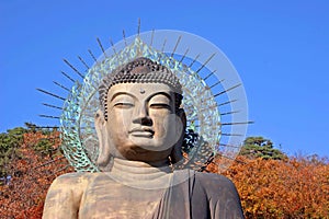 Buddha photo