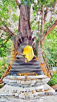 Buddha