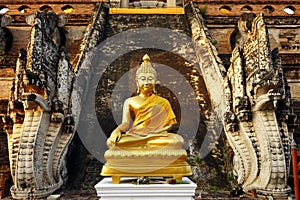 Buddha in Asia