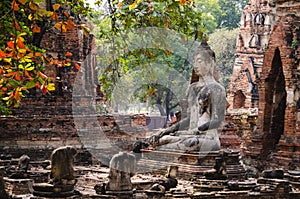 Buddha in ayutthaya photo