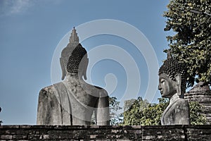 Buddha back statue taken in Ayutthaya