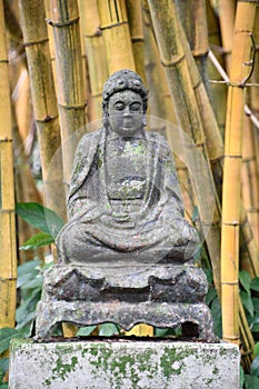 Buddha in the Bamboo Room at Allerton Garden - National Tropical Botanical Garden in Koloa on Kauai Island in Hawaii photo