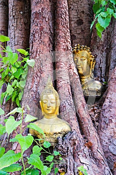 Buddha in the Bodhi Tree head