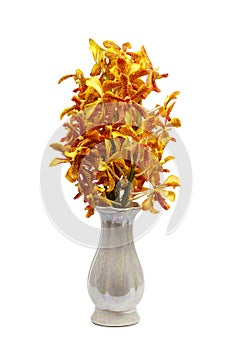 Buddha Bouquet orange orchid flower in vase isolated on white background