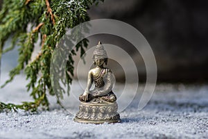 Buddha and branch of fir-tree in the snow