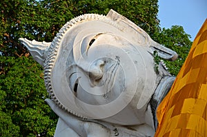 Buddha,Buddha statue