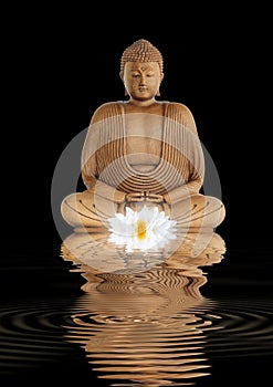 Buddha Contemplation photo