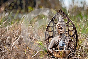 Buddha craft in the grass with a gem