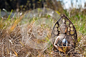 Buddha craft in the grass with a gem