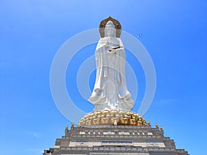 Buddha culture statue of the goddess guanyin