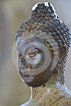 Buddha decayed head