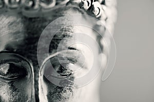 The buddha in duotone