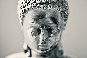 The buddha in duotone