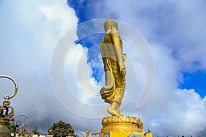 Buddha Enlightened, sage, gautama