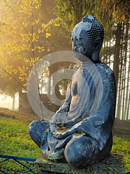 Buddha on the entrance in the forest