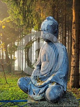 Buddha on the entrance in the forest