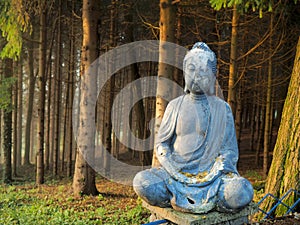 Buddha on the entrance in the forest