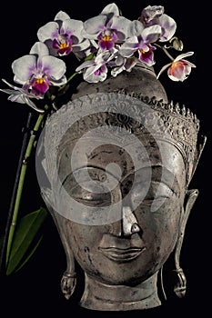 Buddha face and orchid flower. Spiritual meditation and Zen buddhism nature image