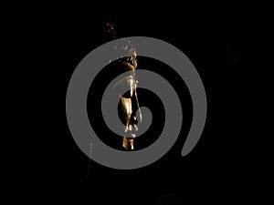 Buddha face in profile