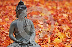 Buddha in Fall Leaves