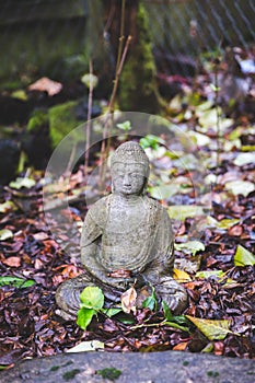 Buddha Figure in Fall or Autumn Leaves Near Home