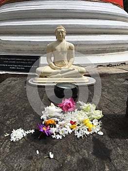 Buddha Flower Offering Table