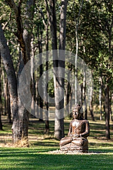 Buddha In Forest