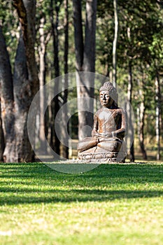 Buddha In Forest