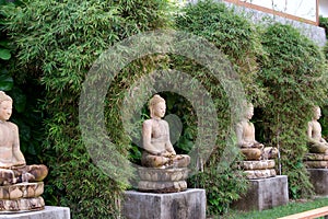 Buddha Garden