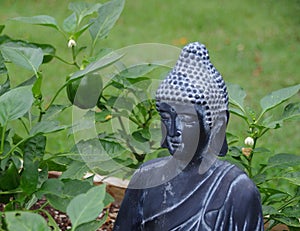 Buddha garden sculpture with green bell peppers