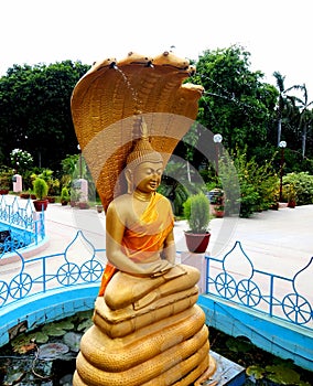 Buddha golden statue in a temple at Sarnath